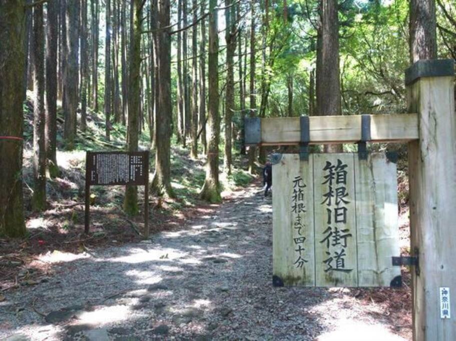 Ek House Hakone Shushinso 箱根修身荘 Vila Exterior foto